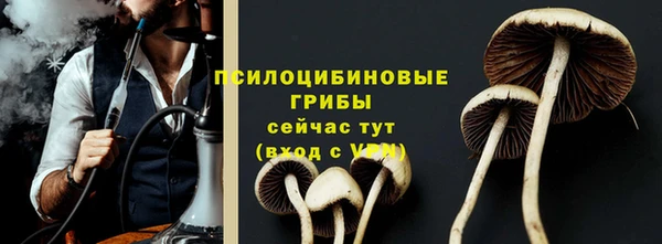 дмт Медногорск