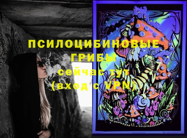 дмт Медногорск