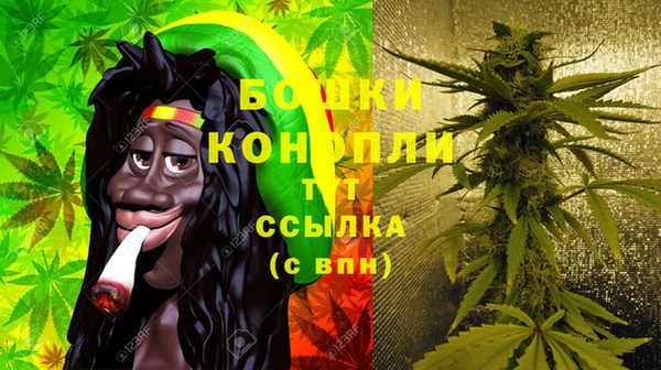 дмт Нея