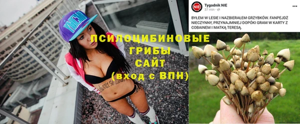 метадон Майский