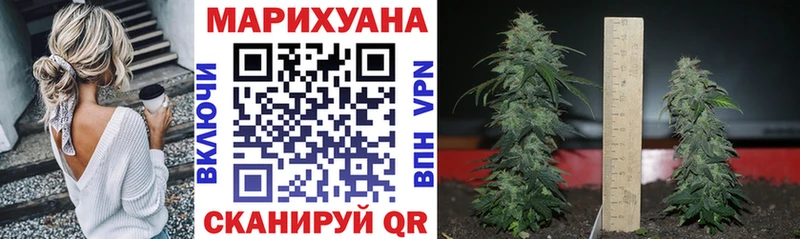 Шишки марихуана марихуана  даркнет сайт  Среднеколымск 